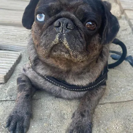 Alex Casa vacanze Wiesing