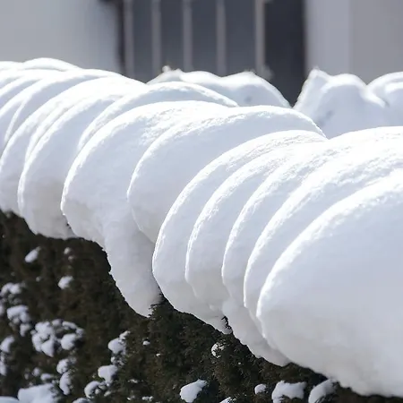 亚历克斯度假公寓 度假居