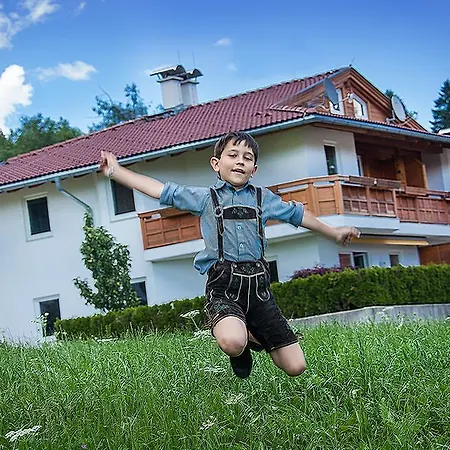 فيرينهاوس أليكس