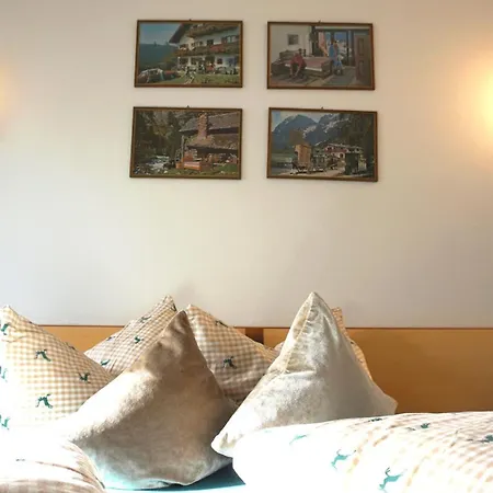 Alex Holiday home